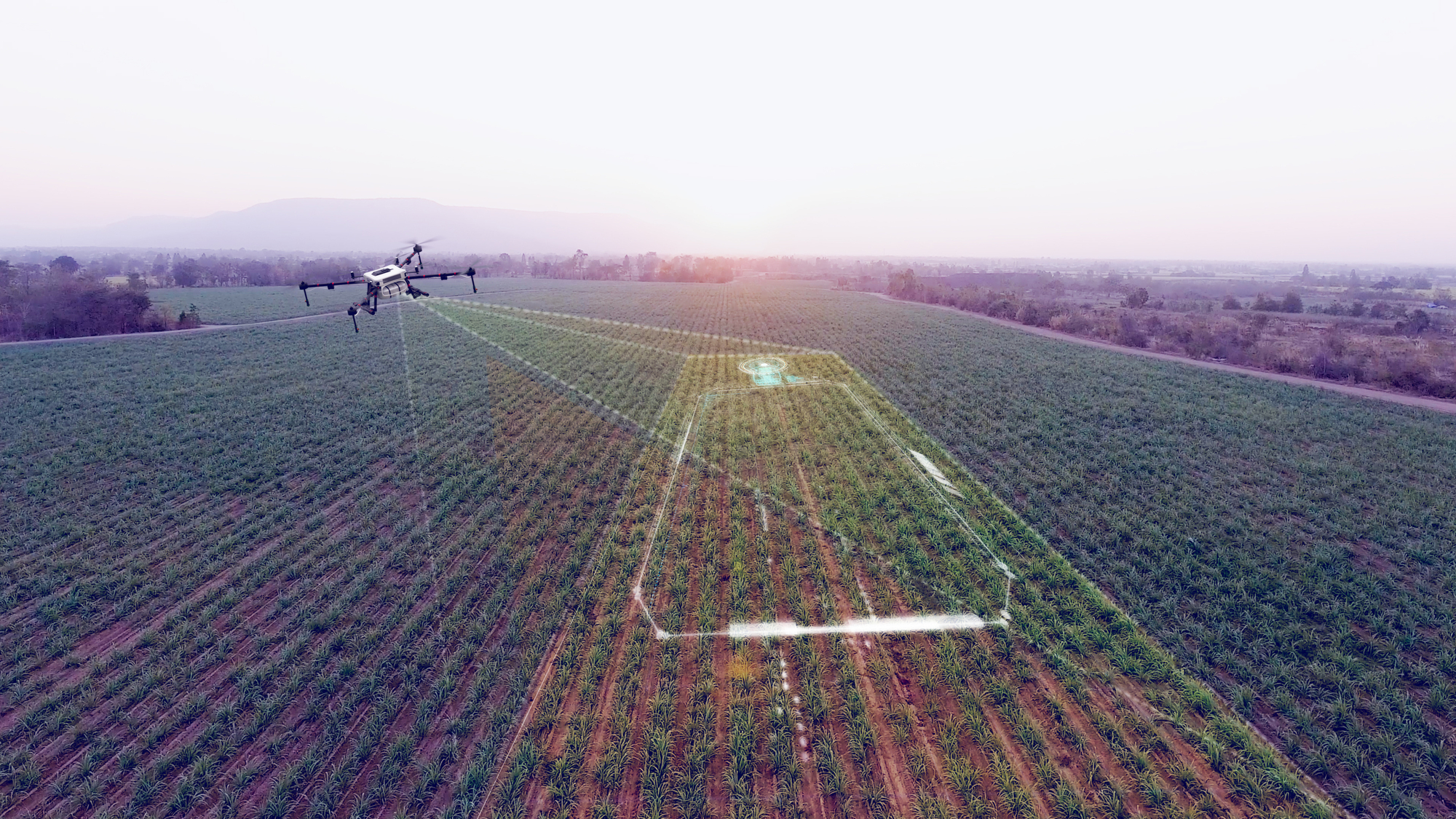 Agriculture Drone Scanning Working Area, Smart Farmer And Agricu